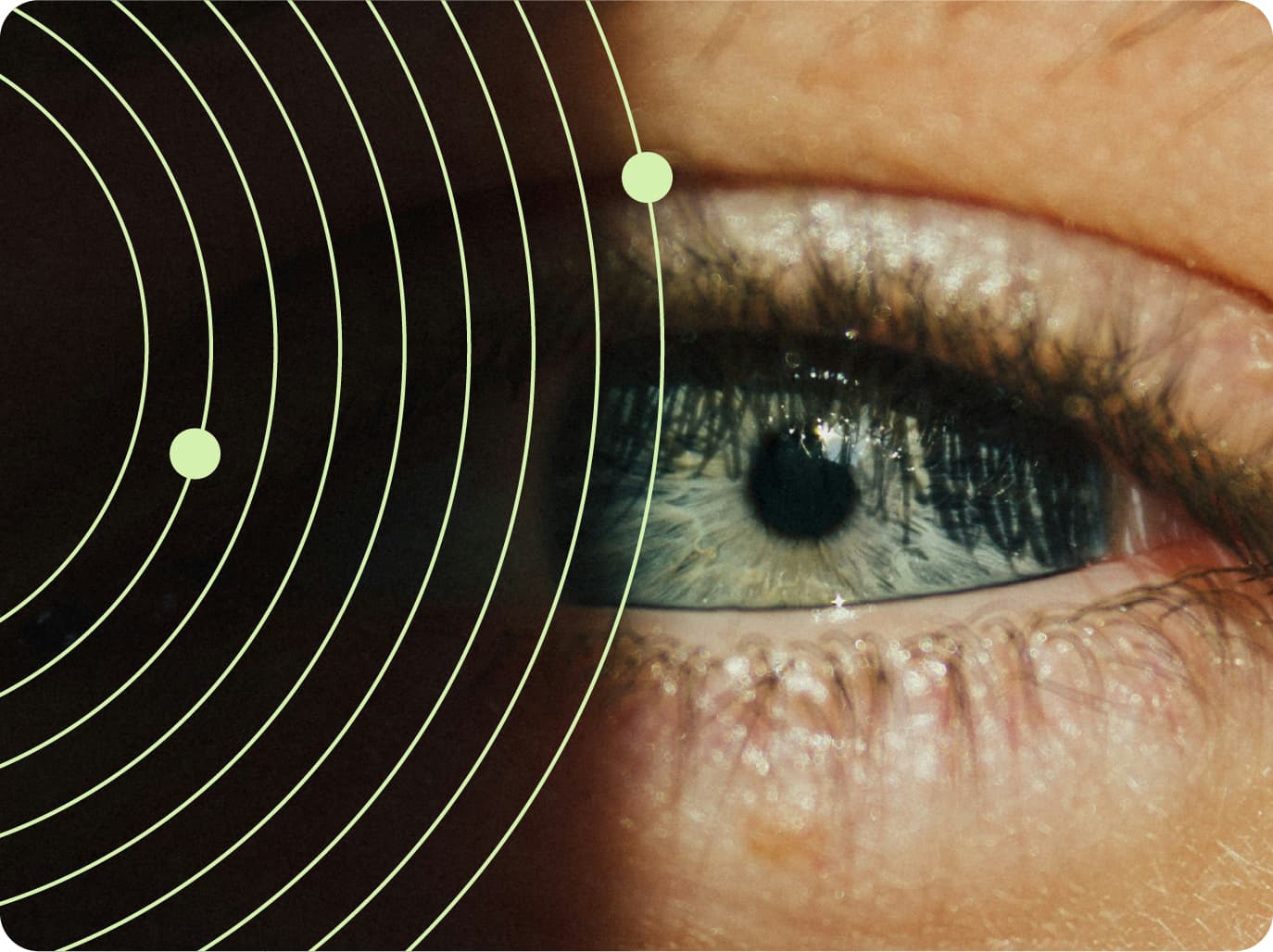 Curated furniture collection